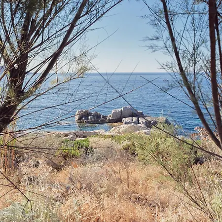 Cala Di Mare Villa Calvi (Corsica)